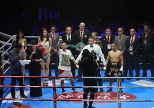 蘇州拳壇激情綻放 向靜成功衛(wèi)冕，中國職業(yè)拳擊新年啟航