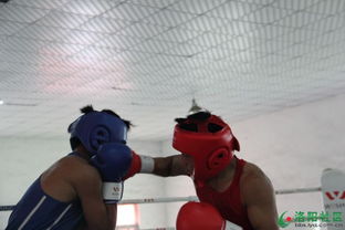 力量之搏 洛陽第十二屆運(yùn)動會拳擊比賽圓滿落幕