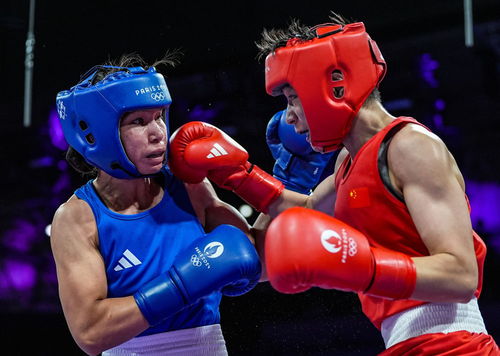 巴黎奧運(yùn)會(huì) 楊文璐晉級(jí)拳擊女子60公斤級(jí)四分之一決賽，展現(xiàn)賽事組織與競(jìng)技風(fēng)采